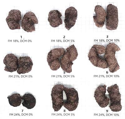 The effects of feed moisture and dried coconut meal content on the physicochemical, functional, and sensory properties of gluten-free Riceberry rice flour-based extruded snacks